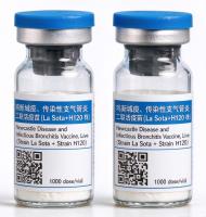 Newcastle Disease and Infectious Bronchitis Vaccine Live La Sota   H120 1000 dose/vial for Poultry