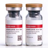 Newcastle Disease Vaccine Live Strain Clone30 1000 doses/vial For Chicken Poultry Health