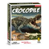Piano Potato Crocodile Excavation and Build Kit
