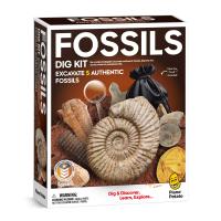 Piano Potato Fossils Dig Kit - 5 Discoveries