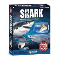 Piano Potato Shark Tooth Excavation and Display Kit