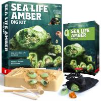 Eduman Glow Sea Life Amber Dig Kit