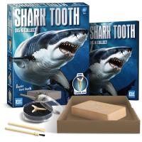 Egg Box Shark Tooth Dig and Collect Kit