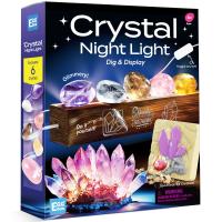 Egg Box Crystal Night Light Dig and Display Kit