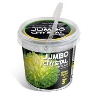 Piano Potato Jumbo Glow in the Dark Crystal Growing Kit