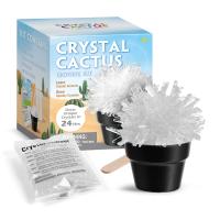 Piano Potato Clear Crystal Cactus Growing Science Kit