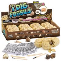 Eduman Fossil Dig Counter Display 12 Blocks