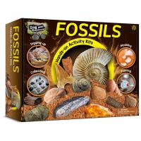 Piano Potato Dig Collect Mold and Paint Fossil Activity Kit