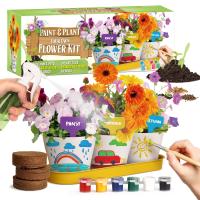 Piano Potato Paint and Plant Flower Pot Craft Kit