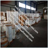 BOPA Film - Biaxially Oriented Polyamide Nylon Film for Food Packaging