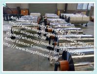 Metallized BOPET Film - Vacuum Metallized Polyester Film for Food Packaging and Lamination