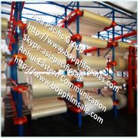 0050 Plastic Film Rolls in Warehouse Stock for Packaging