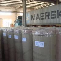 BOPP Color Printed Flower Wrapping Film in Jumbo Rolls (Custom Logos)