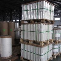 BOPP/BOPET Metallized Capacitor Film (silver)