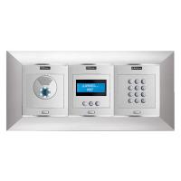 Digital video entry panel with display keypad and decorative frame