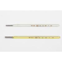 Clinical Thermometer - MB12