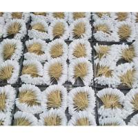 Cleaning Cotton Swab in Bulk