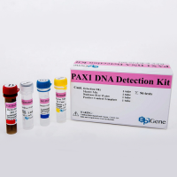 PAX1 DNA Detection Kit