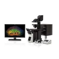FV3000 Confocal Laser Scanning Microscope