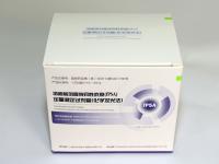 Free Prostate-Specific Antigen Quantitative Detection kit（Chemiluminescent Immunoassay）