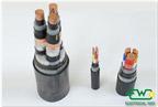 Armoured & Unarmoured XLPE PVC Cable