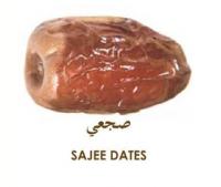 Sajee Date