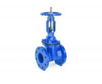 DIN F4 Resilient seated OS&Y gate valve-flange end (Model No. Z41 X-01 )