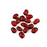Small Kidney Beans