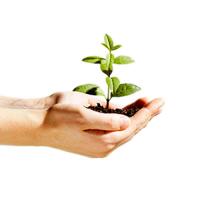 Environmental Services