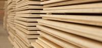WBP plywood (construction use)