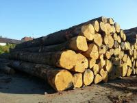 Logs-White Oak