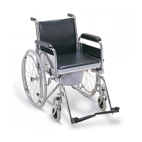 Wheel chair+zoo-19b
