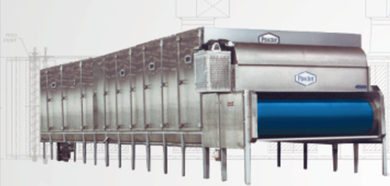 Biomass conveyor dryer