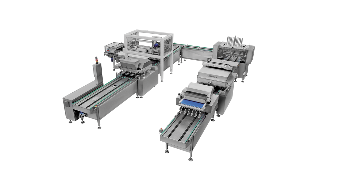 Semi-Automatic Production Line for Cakes and Muffin