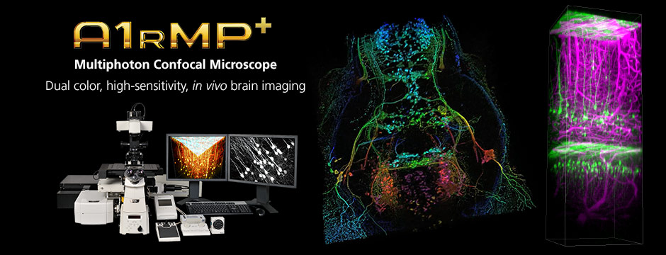 Nis elements microscope imaging software