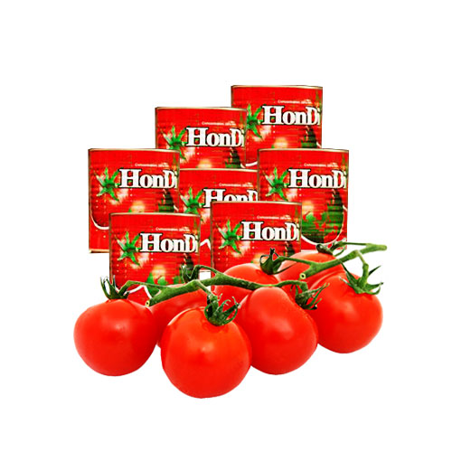 Hondi (red globe edition)-tomato pastes