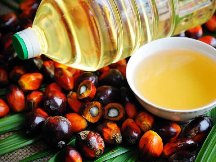 Palm oil and vegetable oils