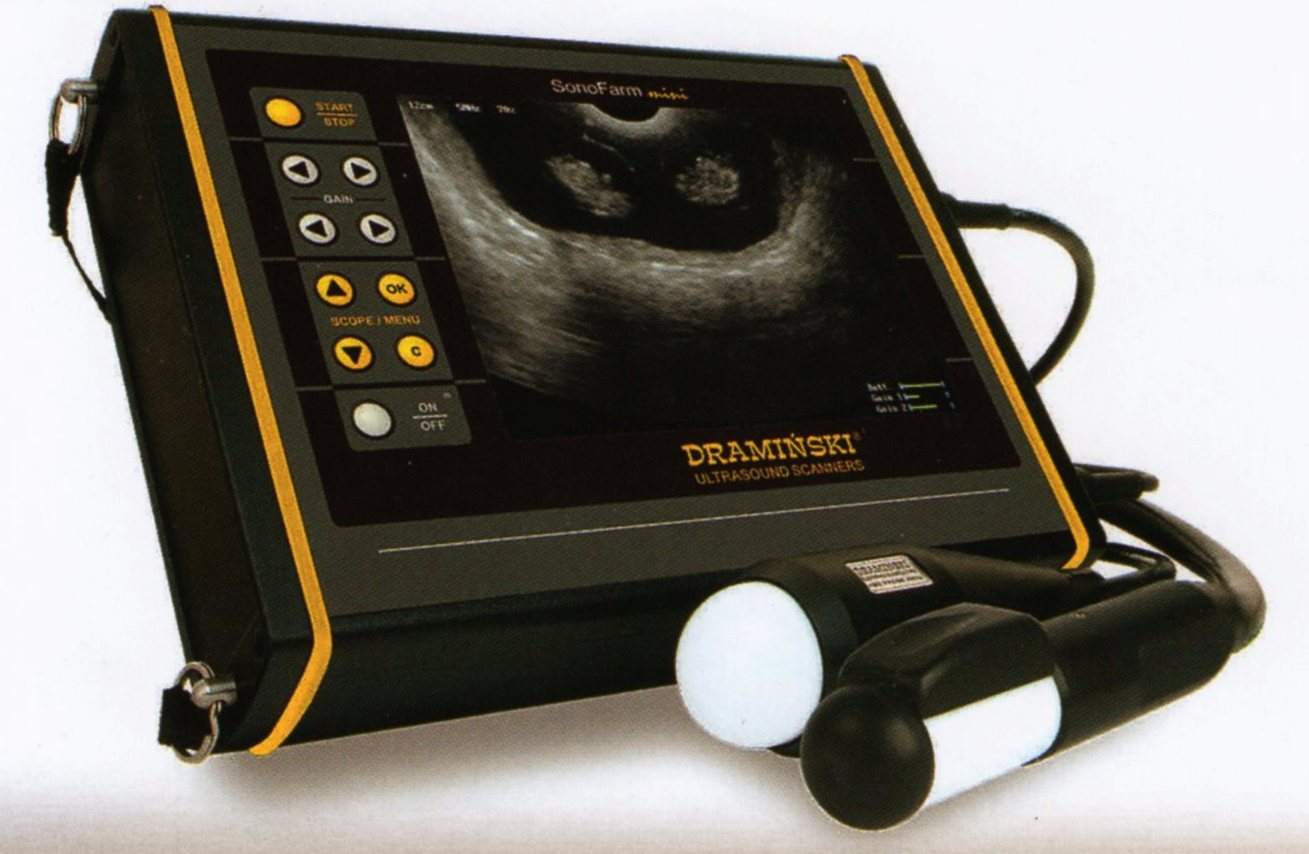 Portable ultrasound scanners for field work