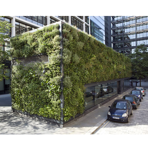 Resilience & sustainability living wall systems
