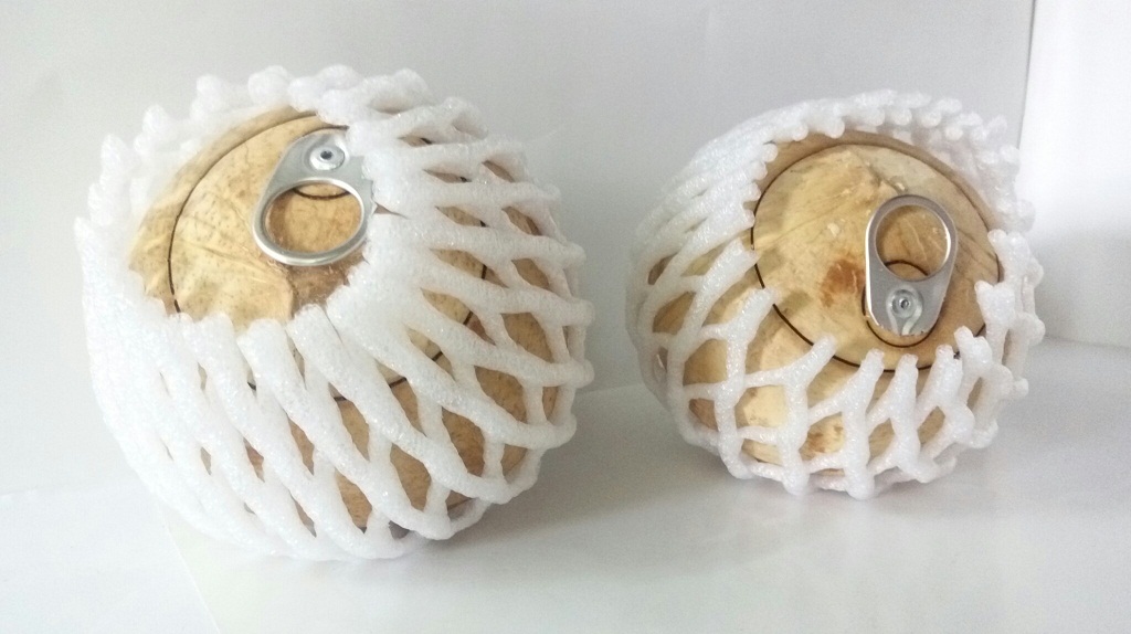 Fresh Young Coconut with Ring Pull