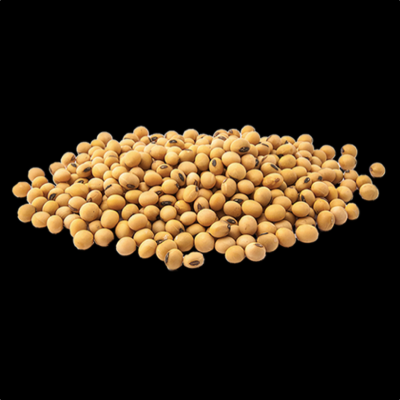 Soybean international standard #2 gmo