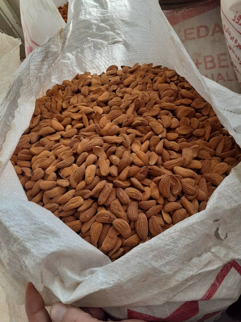 High - quality mamra almond