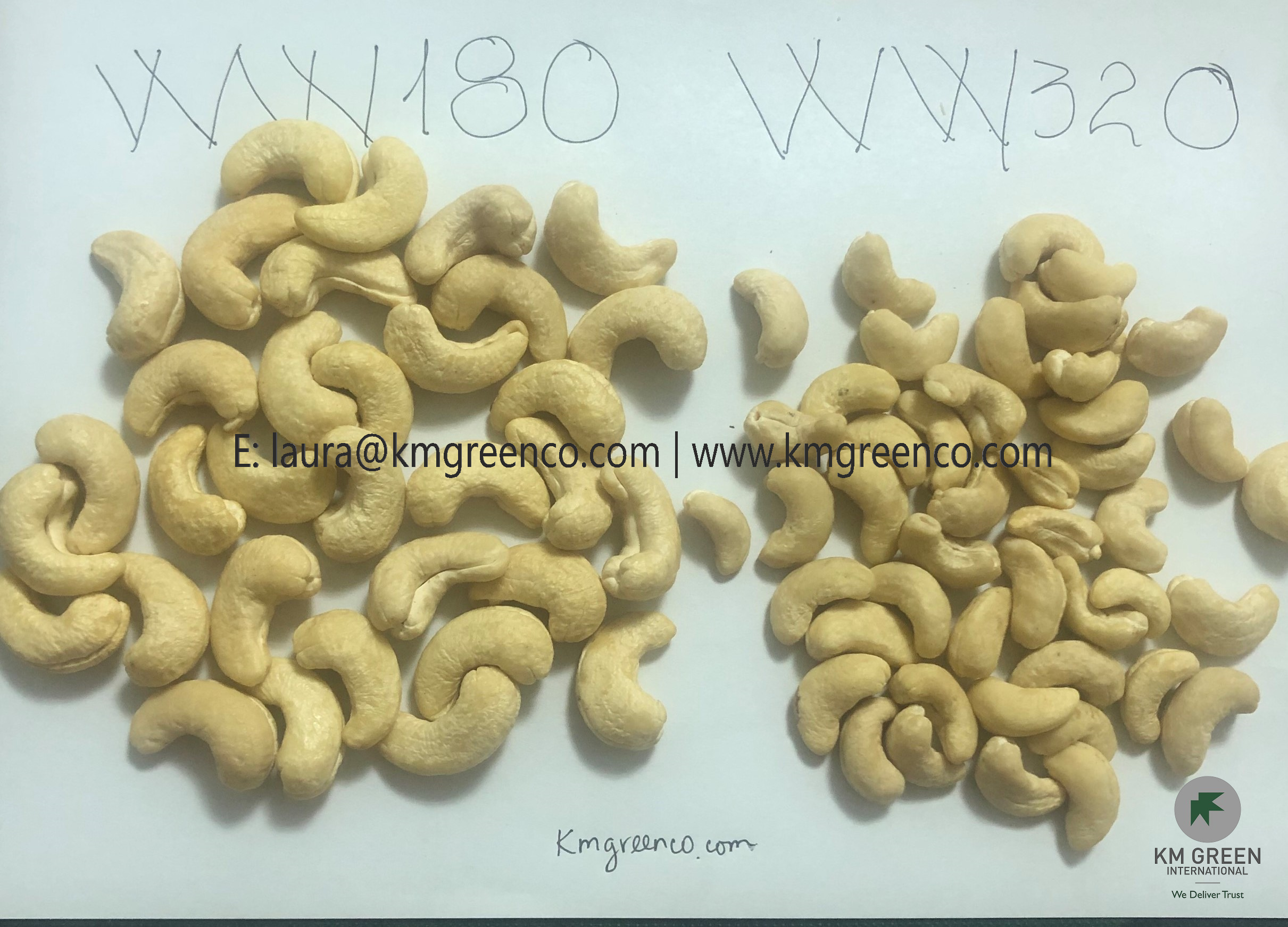 Vietnamese cashew nuts kernels ww180