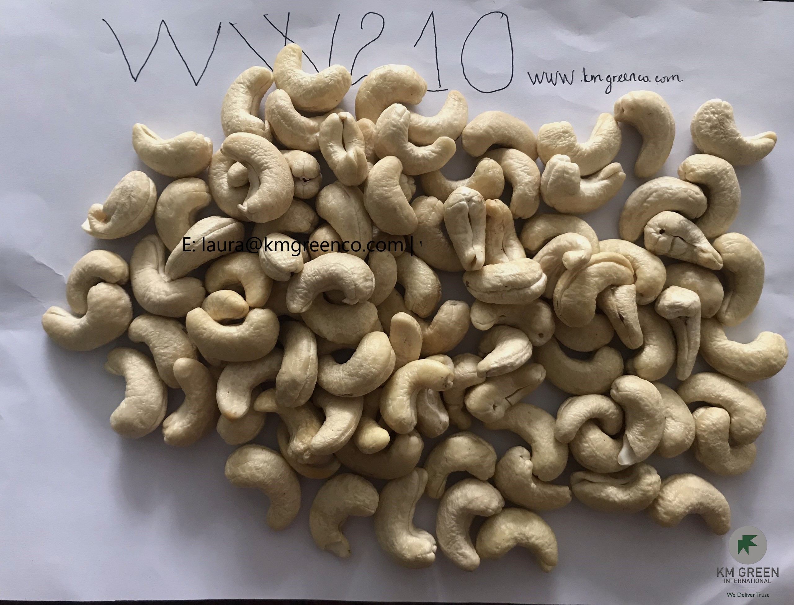 Vietnamese cashew nuts kernels ww210