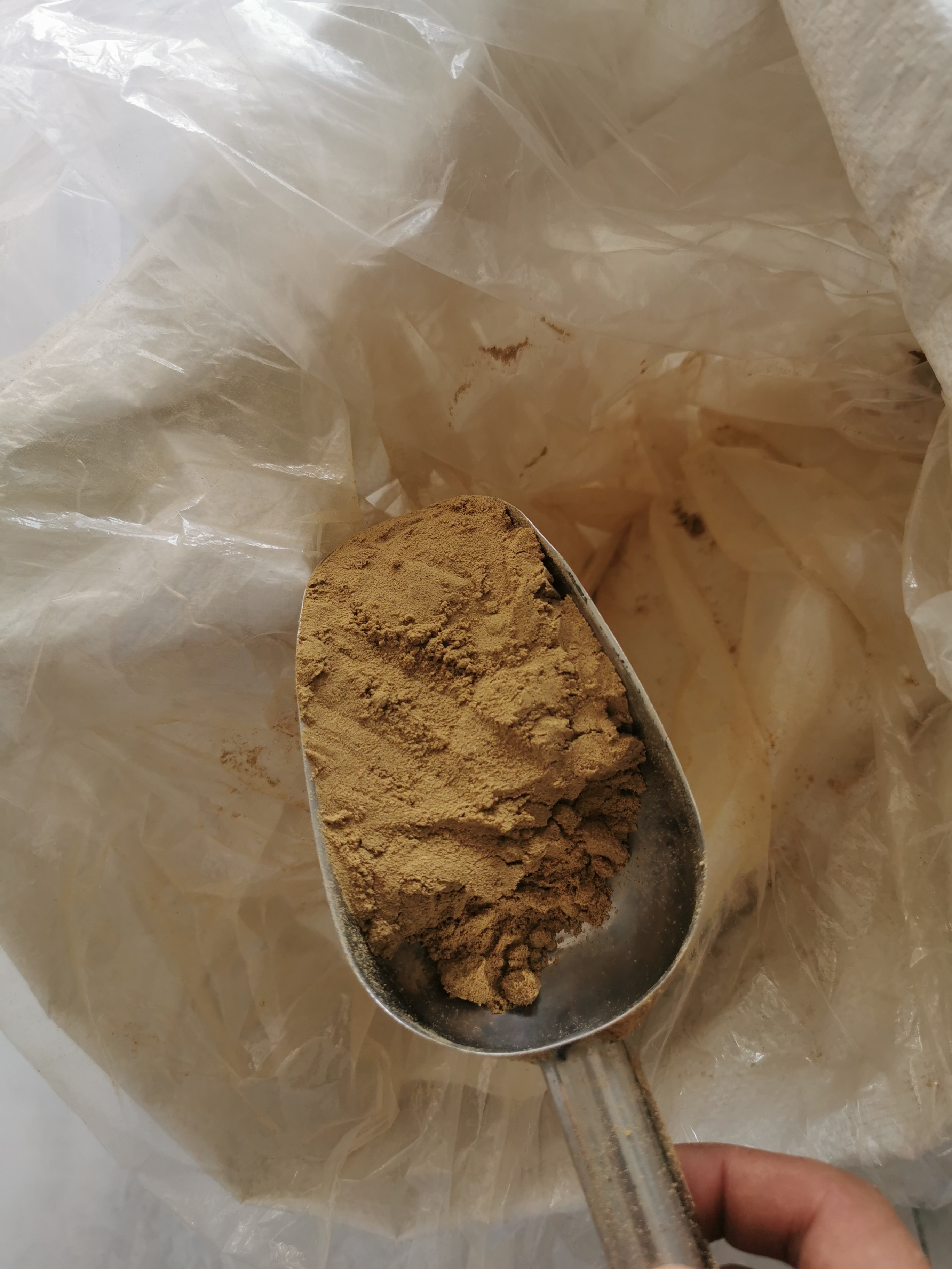 Indian costus root powder