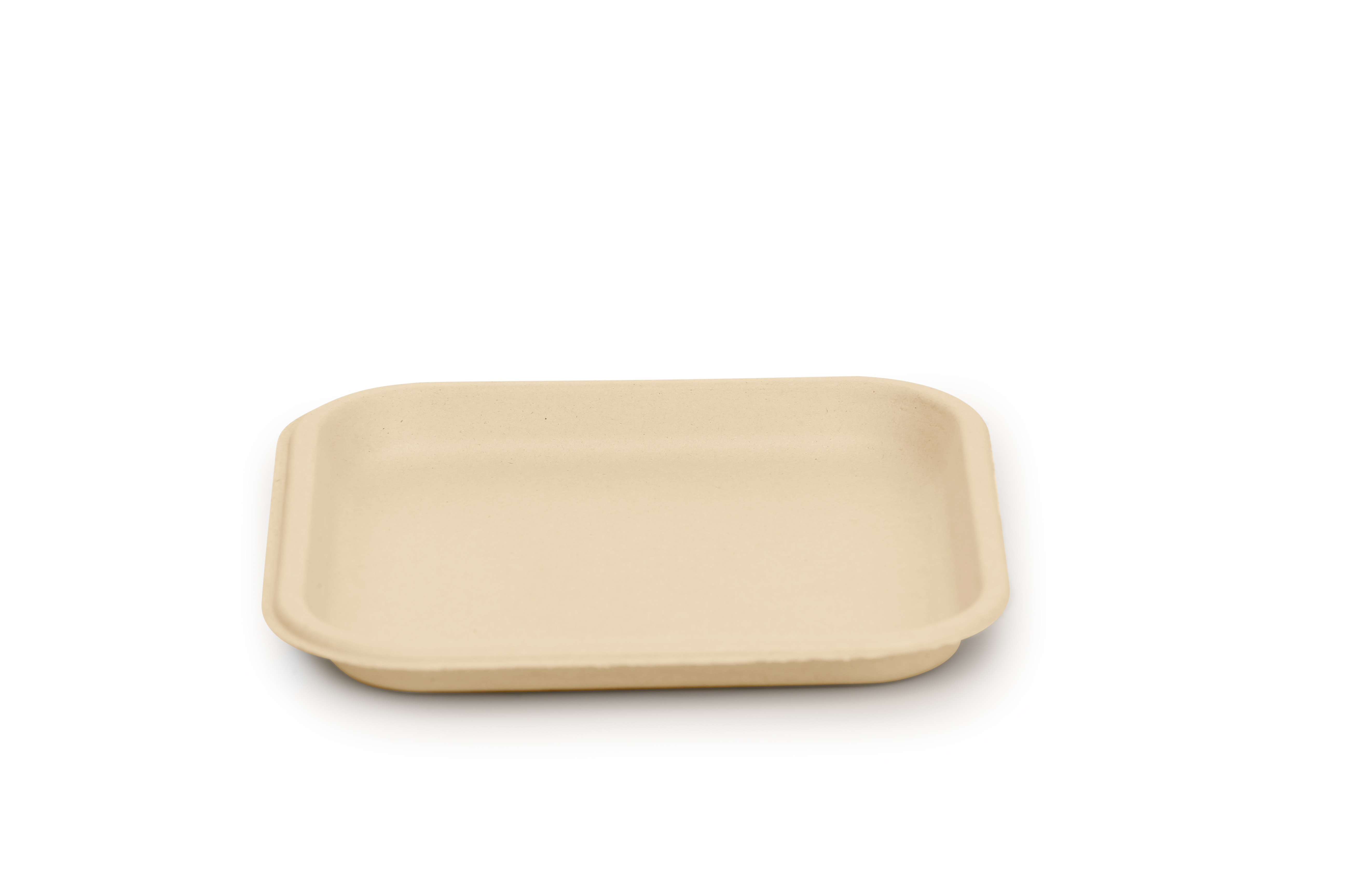 Back to nature 500 pieces 10” plate bagasse biodegradable