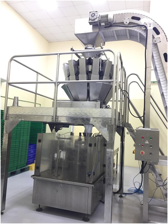 Automatic dates packaging machine