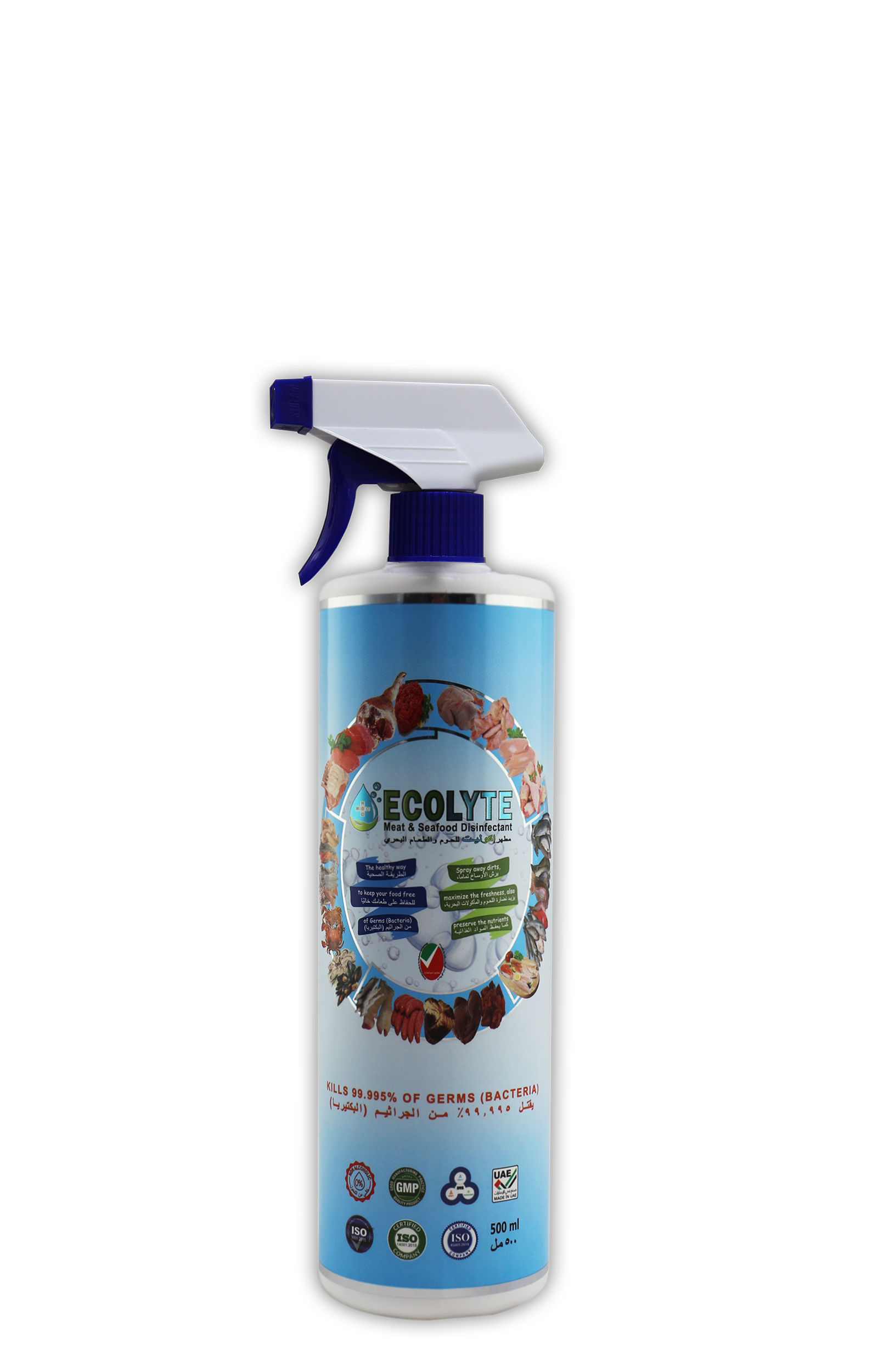 Ecolyte meat and seafood disinfectant 500 ml