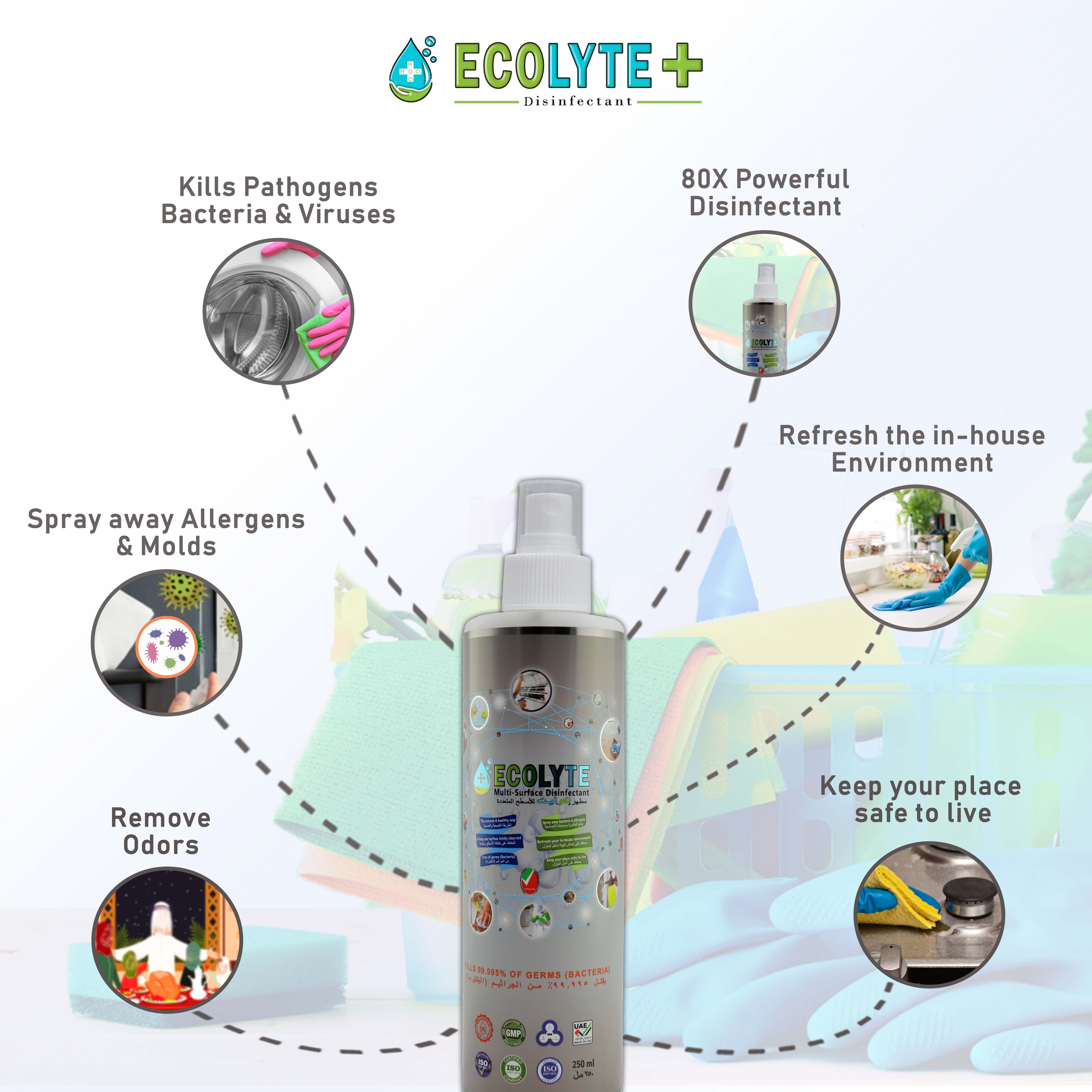 Ecolyte Multi-Surface Disinfectant 100% Natural - 250 Ml_3