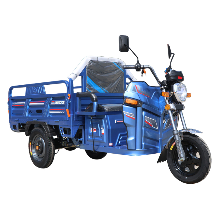 Cheap wholesale price 2020 best safety and popular 60v 1000w electric tricycle for cargo max body trip power